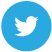 icon-twitter